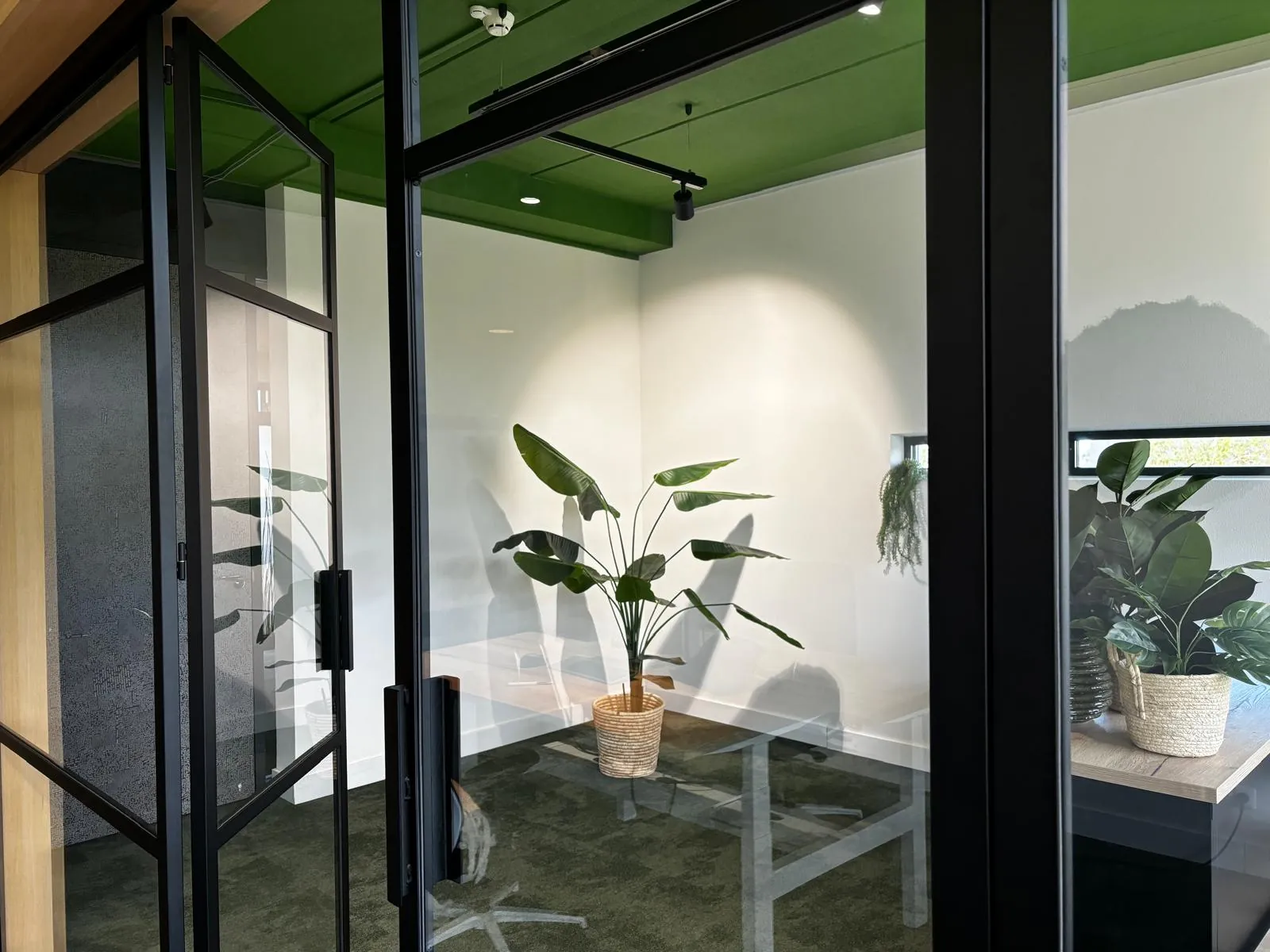 Een werkruimte achter glas met een grote plant in een rieten mand, een lichte wand en een groen plafond