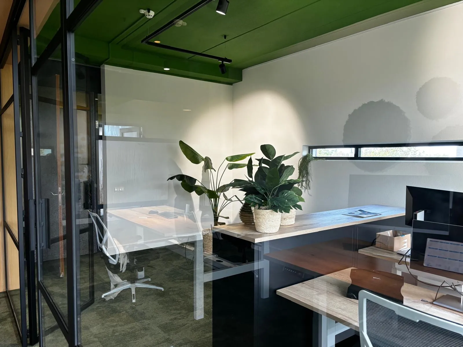 Een werkruimte achter glas met bureaus, twee grote planten in manden en een smal raam hoog in de wand